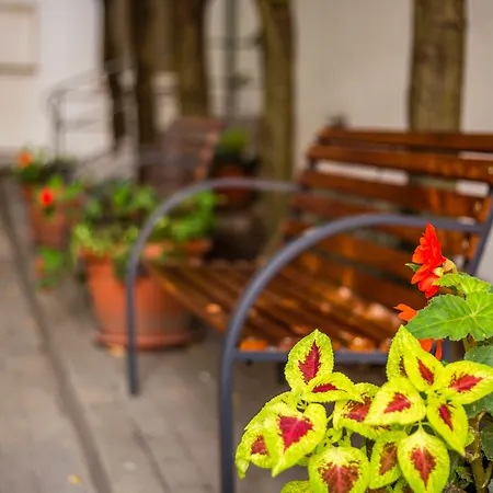 Ringhotel Altstadt 4*